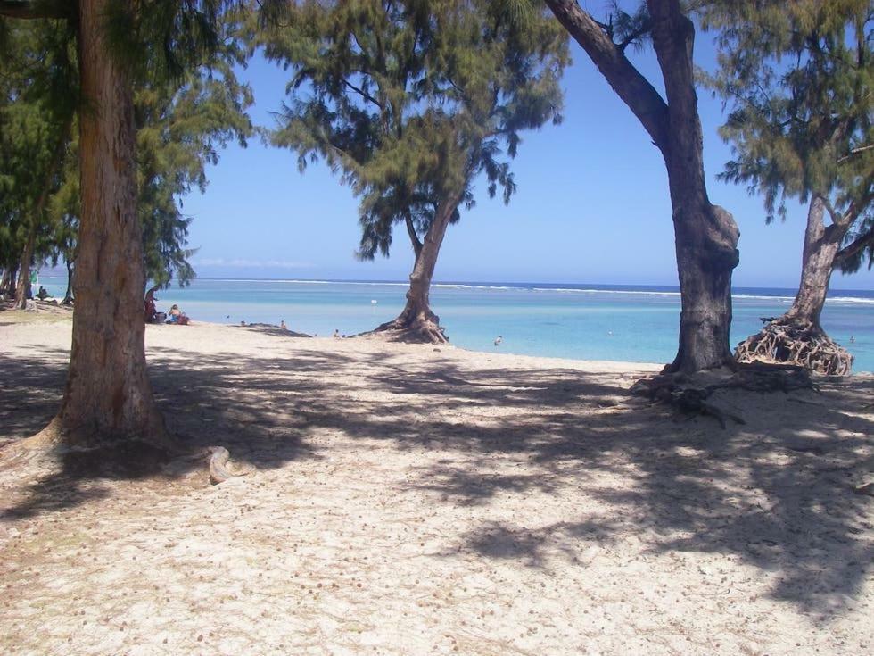 Le Saint Geran - A 3Mn A Pied De La Plage Et De Tous Commerces La Saline Les Bains Exterior foto